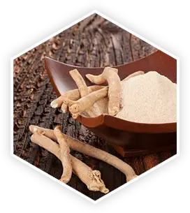 Ashwagandha root in ProstaVive supplement for stress and libido